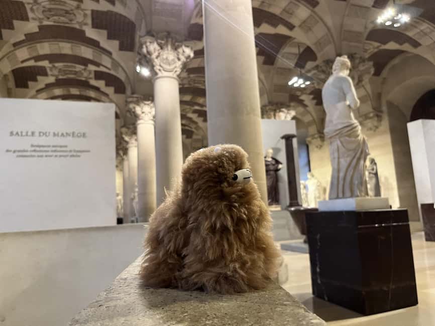 Louvre Museum Entry Ticket and Private Guided Tour - Photos, security, and accessibility inside the museum