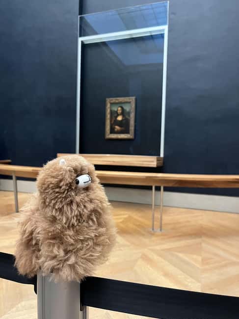 Louvre Museum Entry Ticket and Private Guided Tour - Meeting beside the glass cube