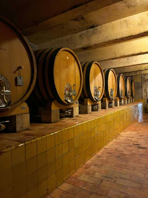 Luberon: Full-Day Wine Tour from Marseille - Three Luberon Wineries, Three Different Views of Provence