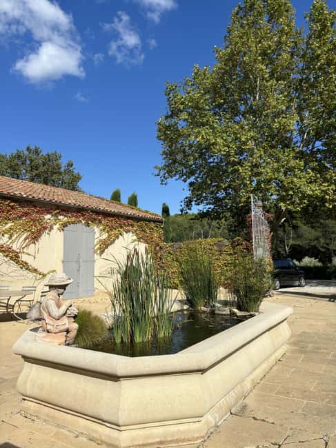 Luberon: Full-Day Wine Tour from Marseille - First Winery: Start With the Cellar and the Big Picture