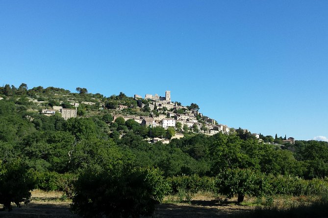 Luberon, Roussillon & Gordes Half-Day Tour from Avignon - Timing, meeting details, and comfort