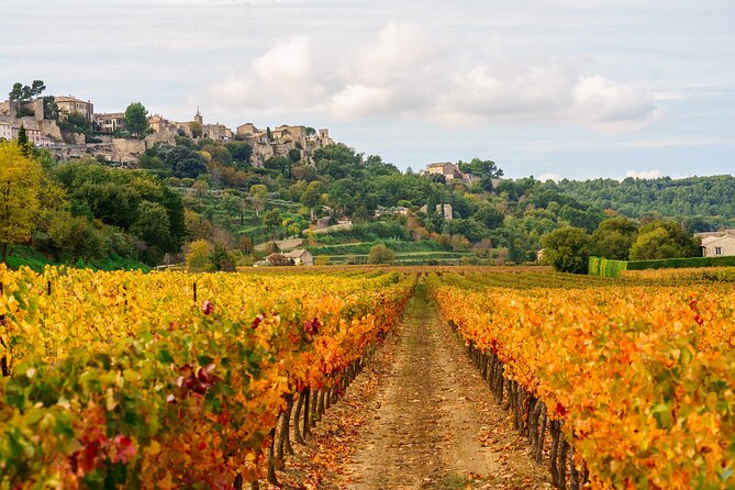 Luberon Small-Group Day Trip from Avignon - Who will enjoy this day most