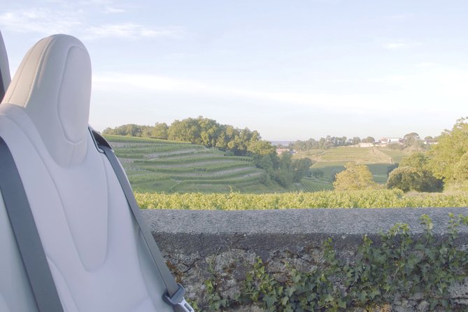 Luxurious full day Bordeaux wine tour in a Tesla - Médoc and Sauternes offer different versions of Bordeaux