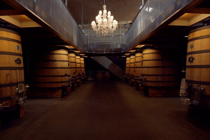 Luxurious full day Bordeaux wine tour in a Tesla - What the guide adds to the day