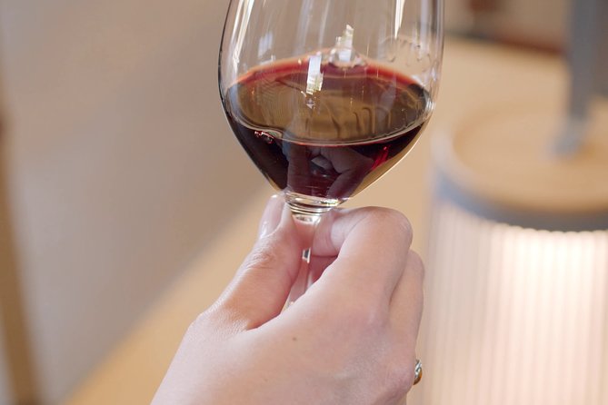 Luxurious full day Bordeaux wine tour in a Tesla - The real cost: $396 before lunch and tastings
