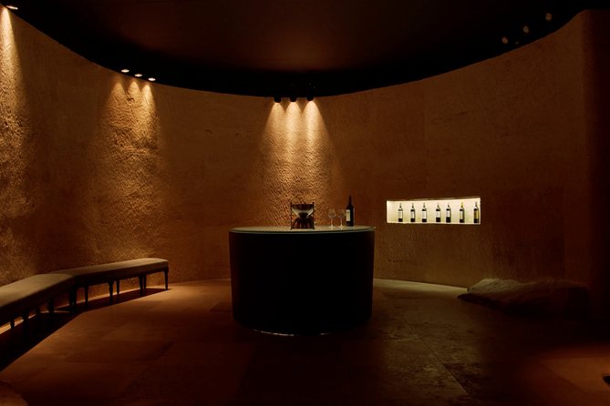 Luxurious full day Bordeaux wine tour in a Tesla - Who should book this Bordeaux wine experience?