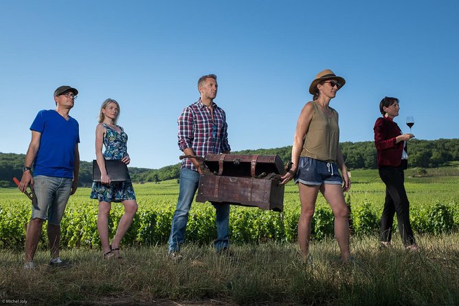 Luxury Luxury Wine Tour Experience - Three estates, three ways to make Burgundy