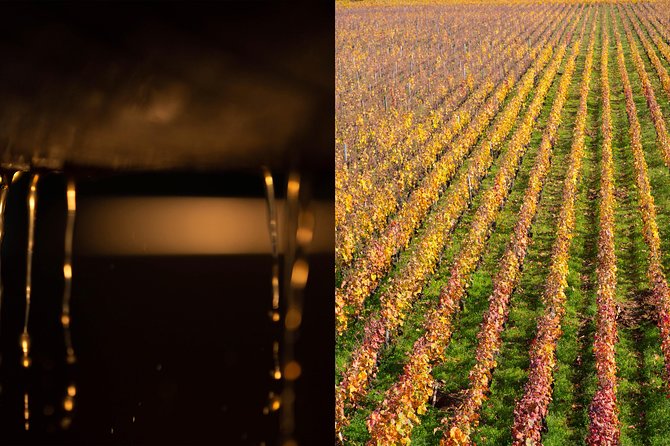 Luxury Luxury Wine Tour Experience - Eighteen wines, including Burgundy’s top classifications