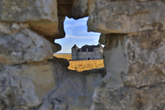 Luxury Luxury Wine Tour Experience - Starting at 9:30 with a private Mercedes