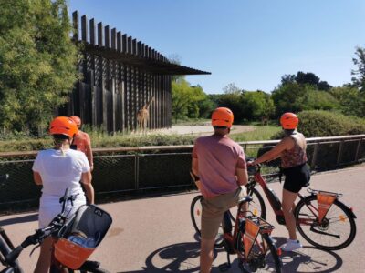2-Hour Electric Bike Tour with a Local Guide