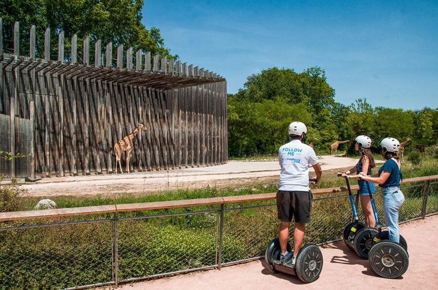 Lyon: City Segway Tour with a Local Guide - What the guides add to the ride