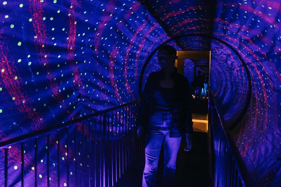 Lyon: Musée de l’illusion Entrance Ticket - What Lyon’s Museum of Illusions actually offers