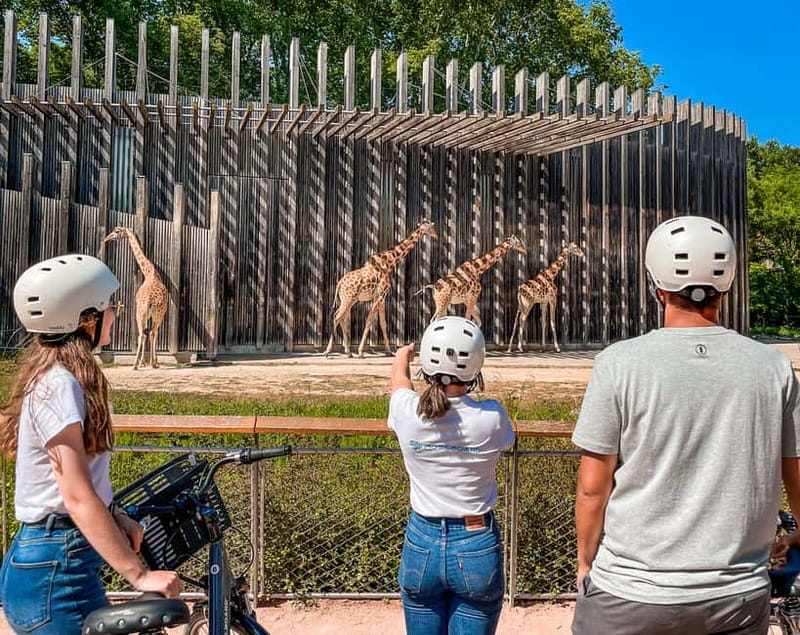 Lyon: Parc Tête d'Or eBike Tour - Key points at a glance