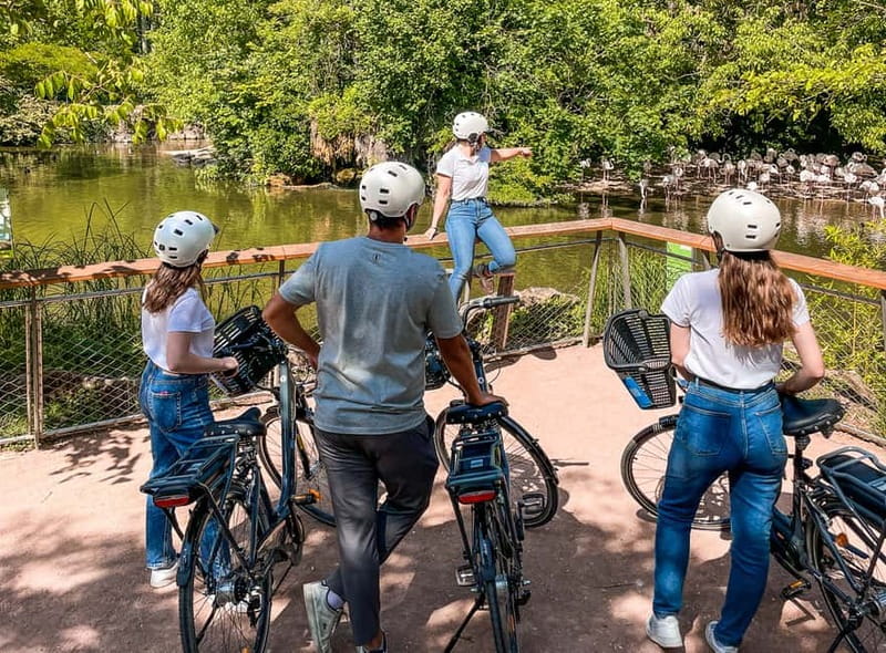 Lyon: Parc Tête d'Or eBike Tour - Should you book the Parc Tête d’Or eBike Tour?