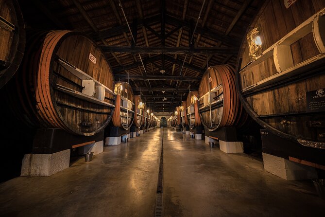 Maison Noilly Prat VIP tour, wine and vermouth tastings - What makes Maison Noilly Prat worth a visit