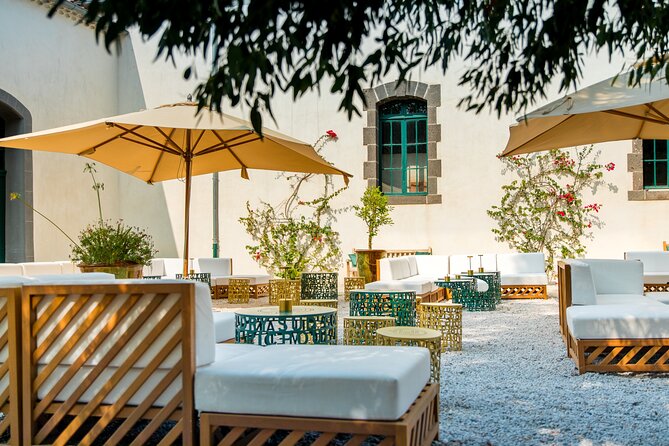 Maison Noilly Prat VIP tour, wine and vermouth tastings - Guide style and language matter