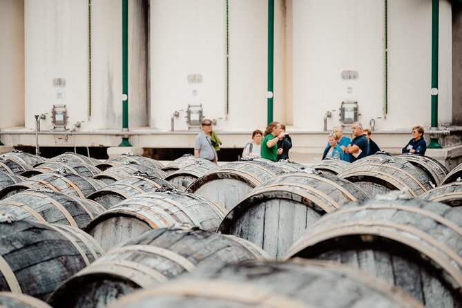Maison Noilly Prat VIP tour, wine and vermouth tastings - Inside the cooperage and behind the bar