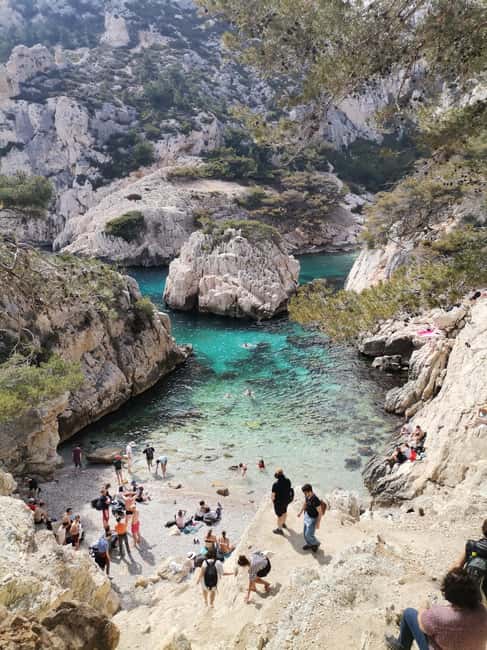 Marseille: Calanques National Park Guided Hike with Picnic - Choosing between Morgiou, Sugiton, and other coves