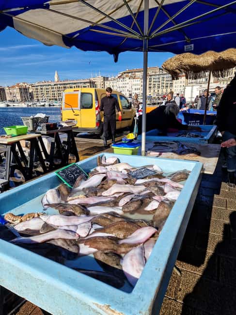 Marseille: découvrir la vieille ville avec un marseillais - Is $25 a fair price?