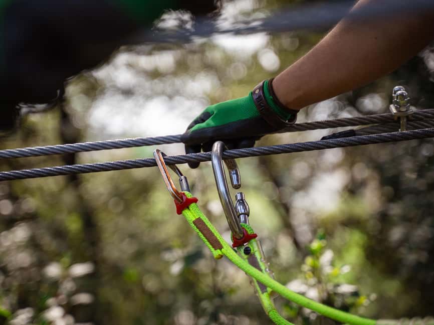 Marseille: Ecopark Adventures Treetop Adventure - A Treetop Park Close to Marseille’s City Center