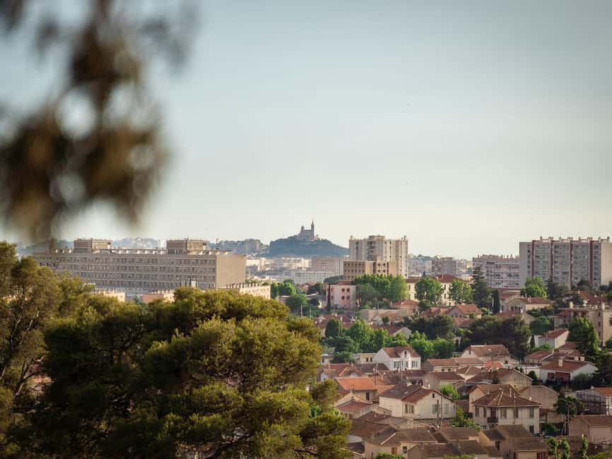 Marseille: Ecopark Adventures Treetop Adventure - What the Positive Feedback Tells You