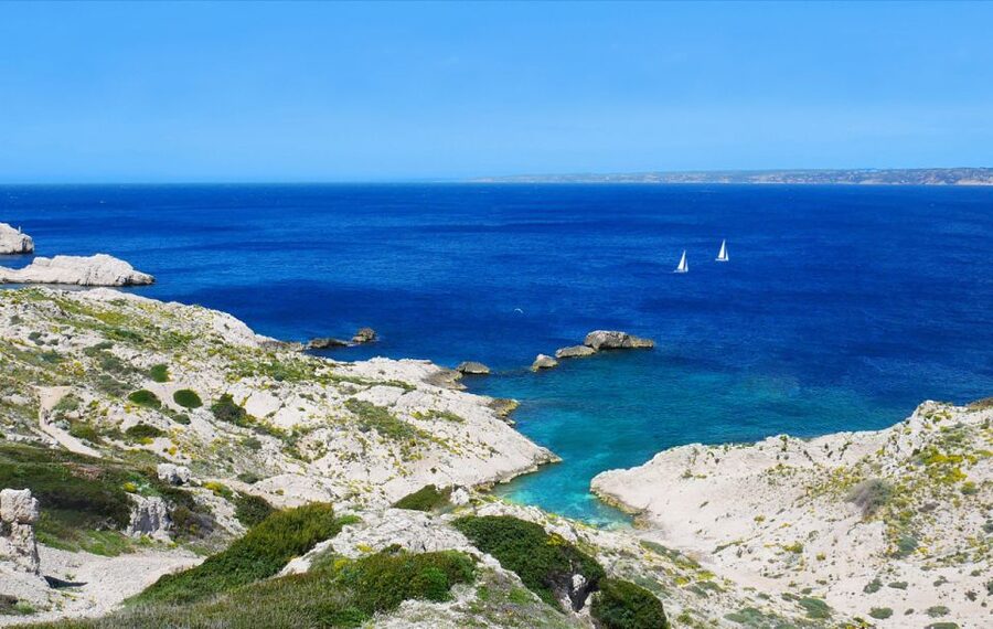 Marseille: Frioul Calanques Sailing Trip - The calanque stop for swimming and snorkeling