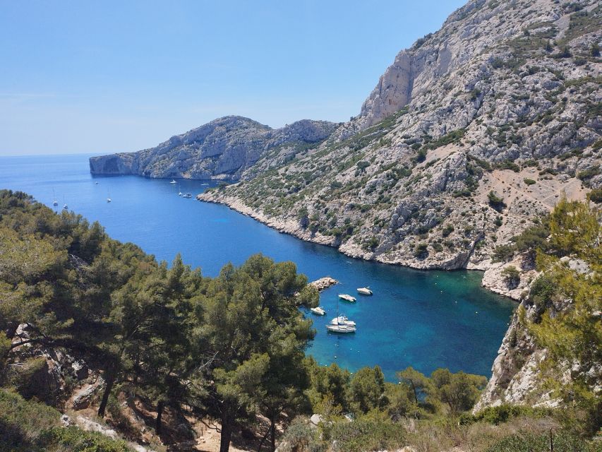 Marseille: Guided Hiking Calanques National Park from Luminy - Walking into the Calanques National Park
