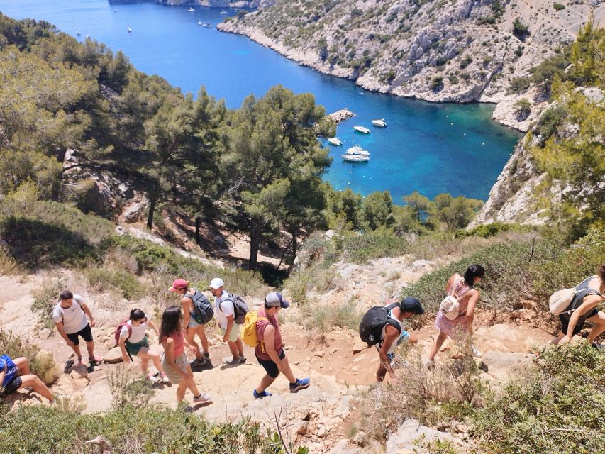 Marseille: Guided Hiking Calanques National Park from Luminy - The beach stop and clear-water swim