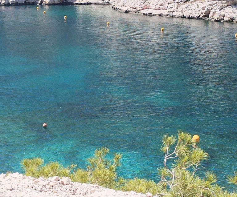 Marseille: Guided Hiking Calanques National Park from Luminy - My verdict: book it for the guide, coast, and picnic