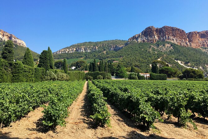 Marseille Shore Excursion - Full Day Wine Tour in Provence - What the guides add to the day