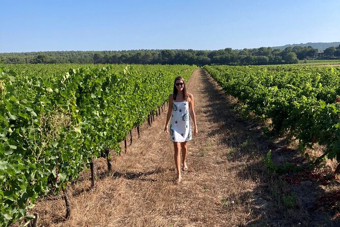 Marseille Shore Excursion - Full Day Wine Tour in Provence - Comfort, age limits, and what to bring