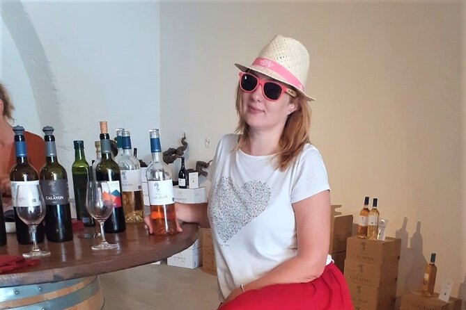 Marseille Shore Excursion - Full Day Wine Tour in Provence - Who should book this excursion?