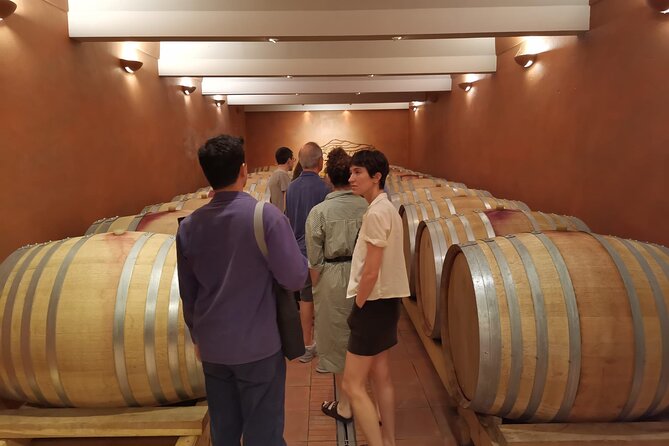 Marseille Shore Excursion - Full Day Wine Tour in Provence - My take: a strong port day for wine lovers
