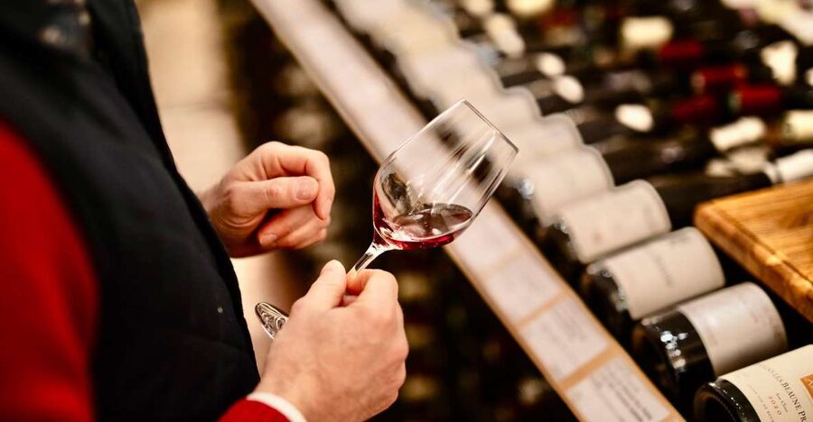 🍷 Masterclass Pinot Noir - Wine tasting in Dijon 🇫🇷 - The guides make the difference