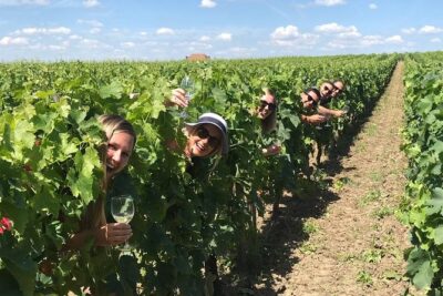 Medoc or Saint Emilion Wine Tasting and Chateau from Bordeaux