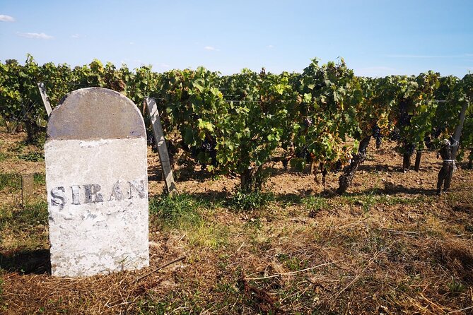 Medoc Region Wine Day Trip with Vineyard Visits & Tastings from Bordeaux - Pauillac: lunch, a short walk, or another tasting