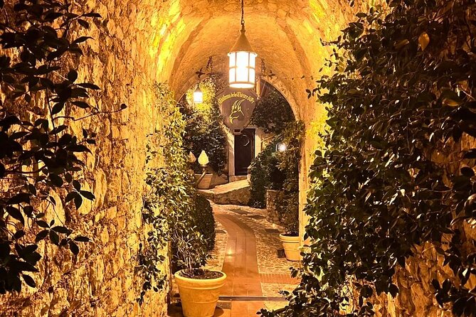 Monaco by Night Private Tour - What the guide adds to the drive