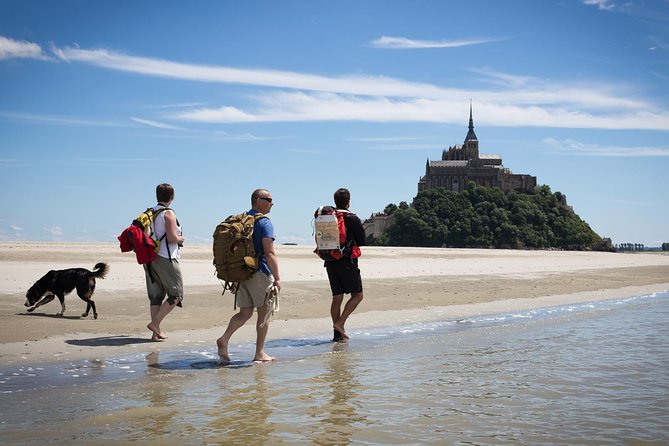 Mont-Saint-Michel bay walk - Key points to know before you book