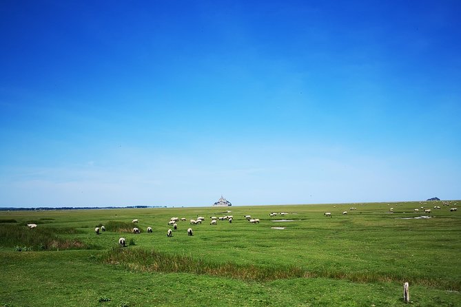 Mont Saint-Michel Day Trip from Bayeux (Shared tour) - Who should book this tour