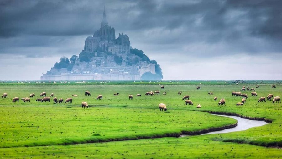 Mont Saint-Michel Small-Group Day Trip from Paris with Abbey Ticket - Key points to know before booking