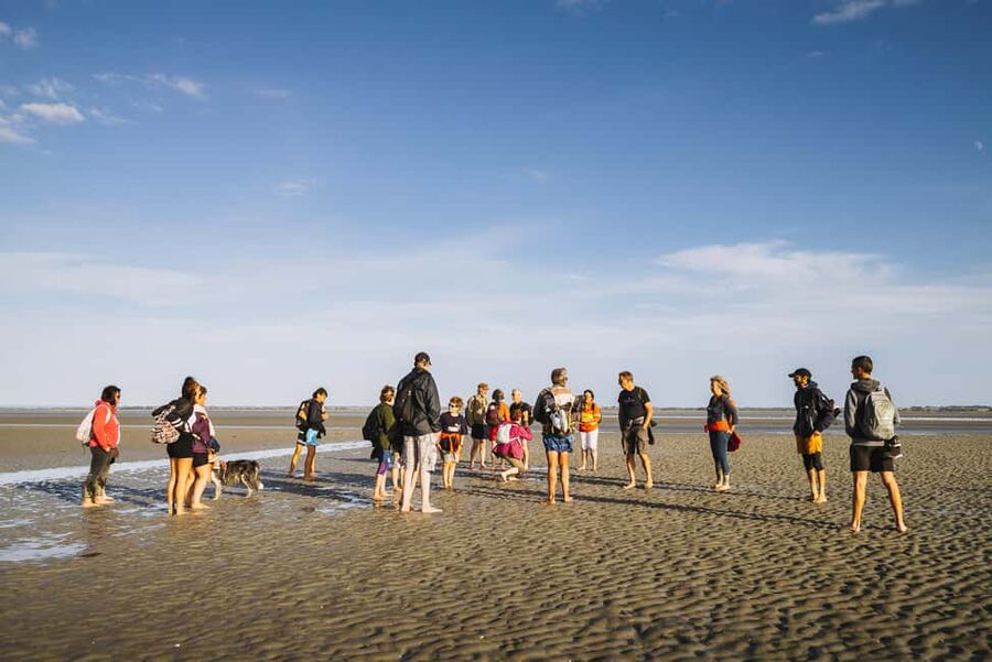 Mont-saint-Michel : Walk in the heart of the Bay - Tombelaine, the granite islet in the bay