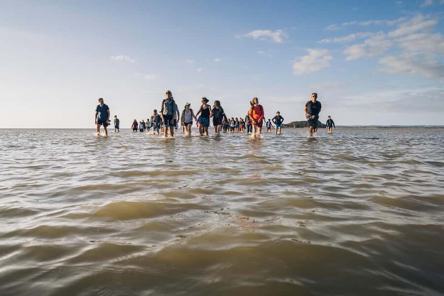Mont-saint-Michel : Walk in the heart of the Bay - Who will enjoy this bay walk most