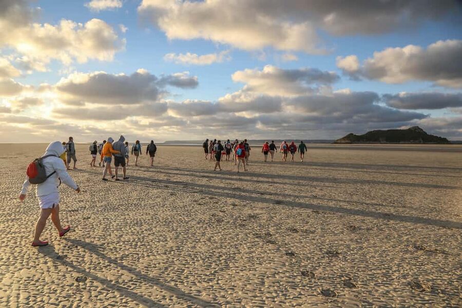 Mont-saint-Michel : Walk in the heart of the Bay - Crossing sand, channels, and quicksand