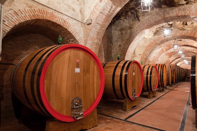 Montepulciano: Wine Tasting & Lunch in a typical winery - Group size and the quality of the guide