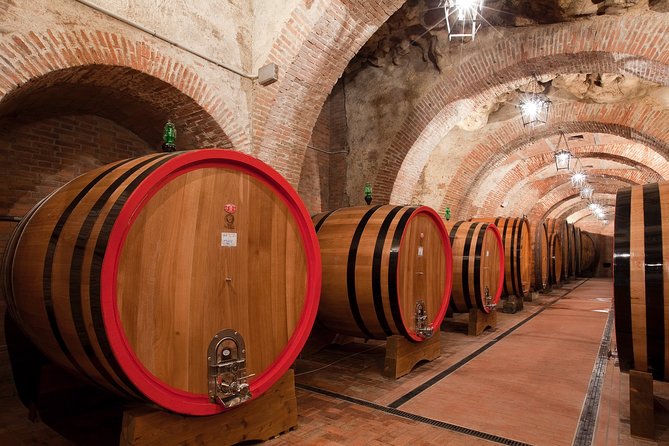 Montepulciano: Winery Tour & Tasting Experience - The cellar atmosphere is worth the descent