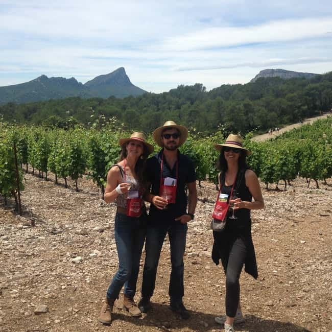 Montpellier: Pic Saint-Loup Wine Tour - A family meal in Bertrand’s home