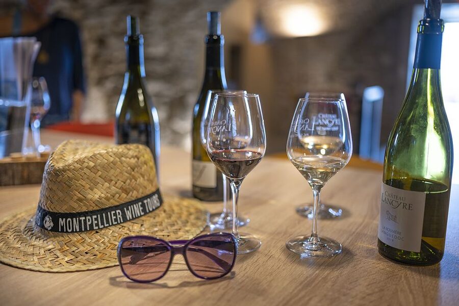 Montpellier Wine and Oyster Tour - Who should book this experience?