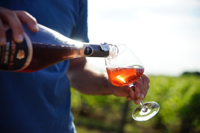 Morning - Loire Valley Wine Tour & Food Pairing, Vouvray - Key points to know before booking