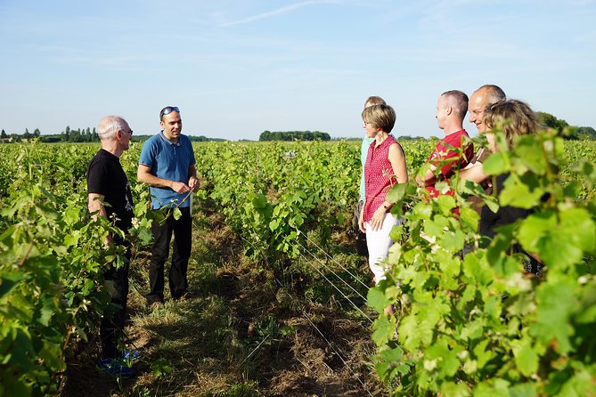 Morning - Loire Valley Wine Tour & Food Pairing, Vouvray - Why Vouvray makes a good first Loire wine stop