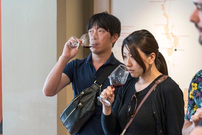 Morning Wine Tour to Chateauneuf du Pape from Avignon - Why Châteauneuf-du-Pape makes a good half-day trip